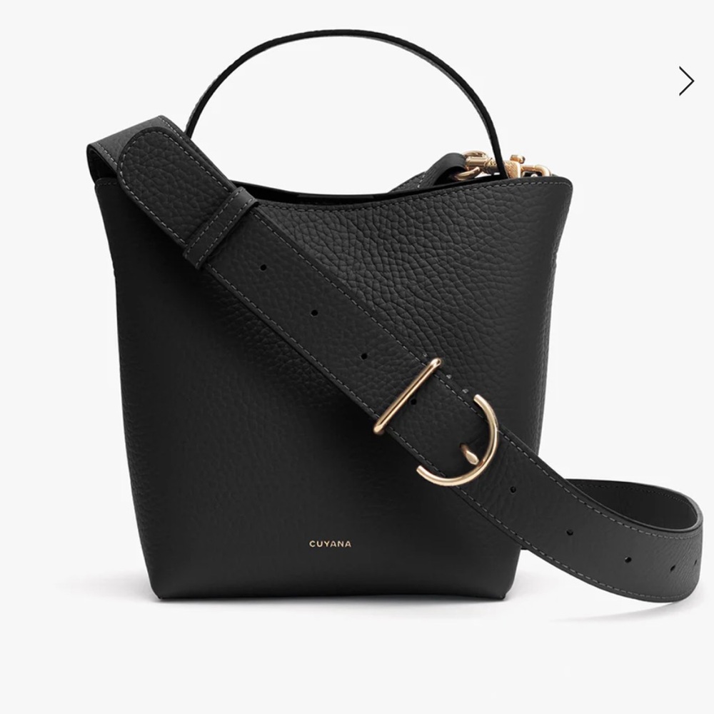 Cuyana mini linea bucket bag